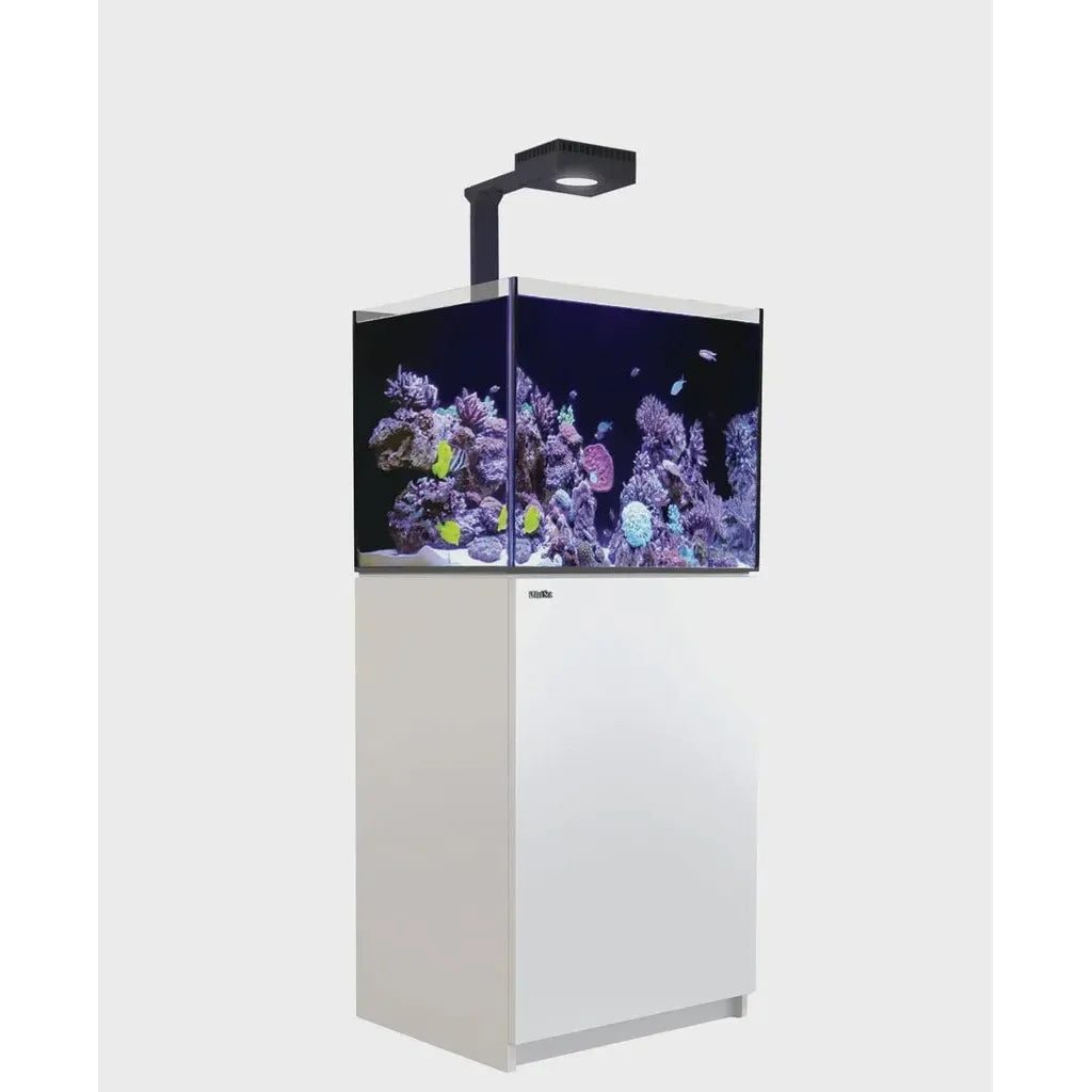 Red Sea|Reefer 170 G2+ Deluxe|Cradle Coast Pet & Aquarium
