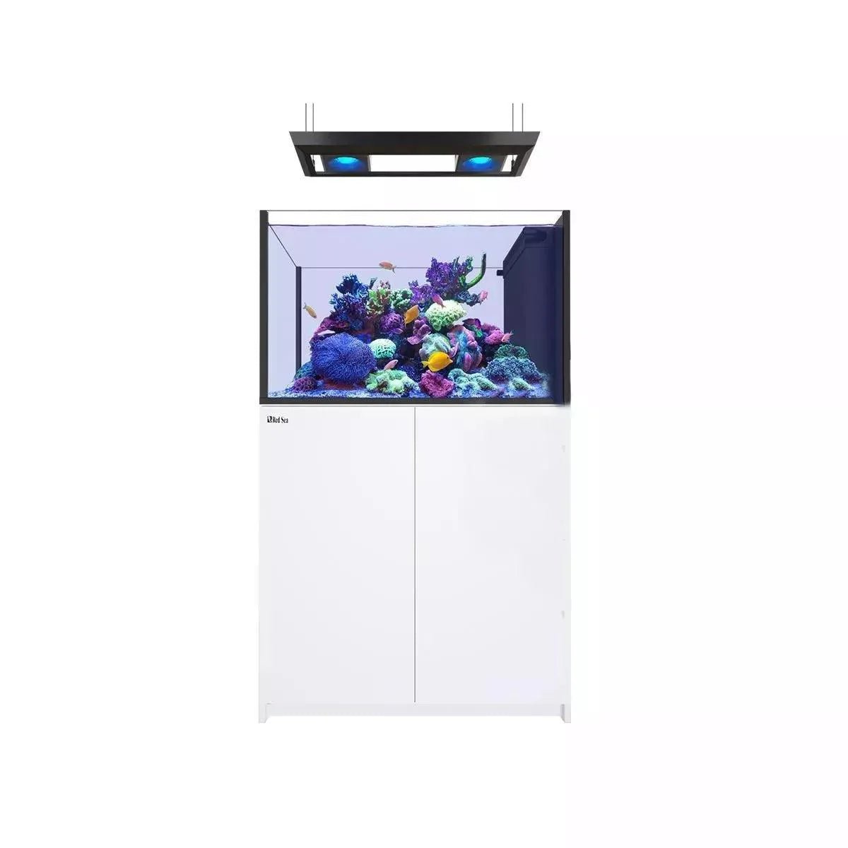 Red Sea|Reefer MAX Peninsula 350 G2+ Bundle|Cradle Coast Pet & Aquarium