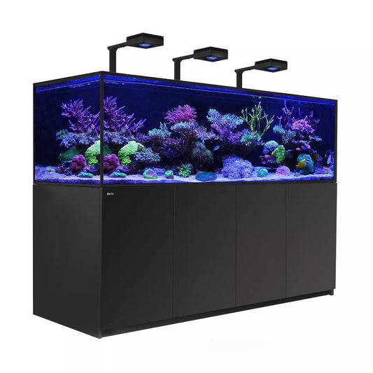 Red Sea|Reefer - S MAX 1000 G2+|Cradle Coast Pet & Aquarium
