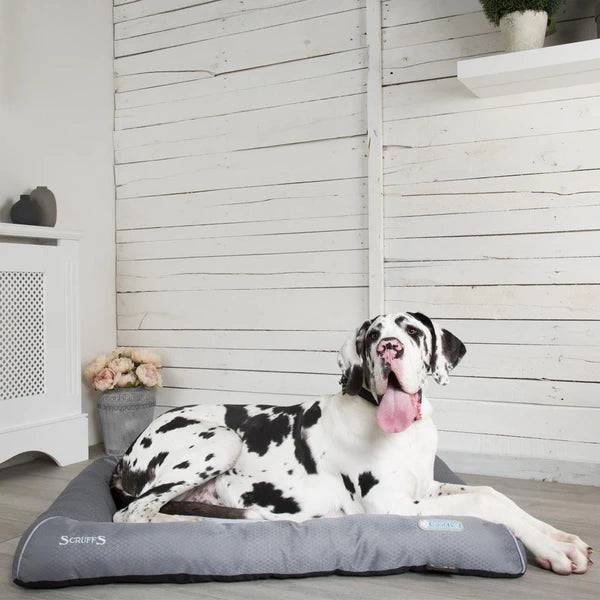 scruffs cooling bed - cradle coast pet & aquarium