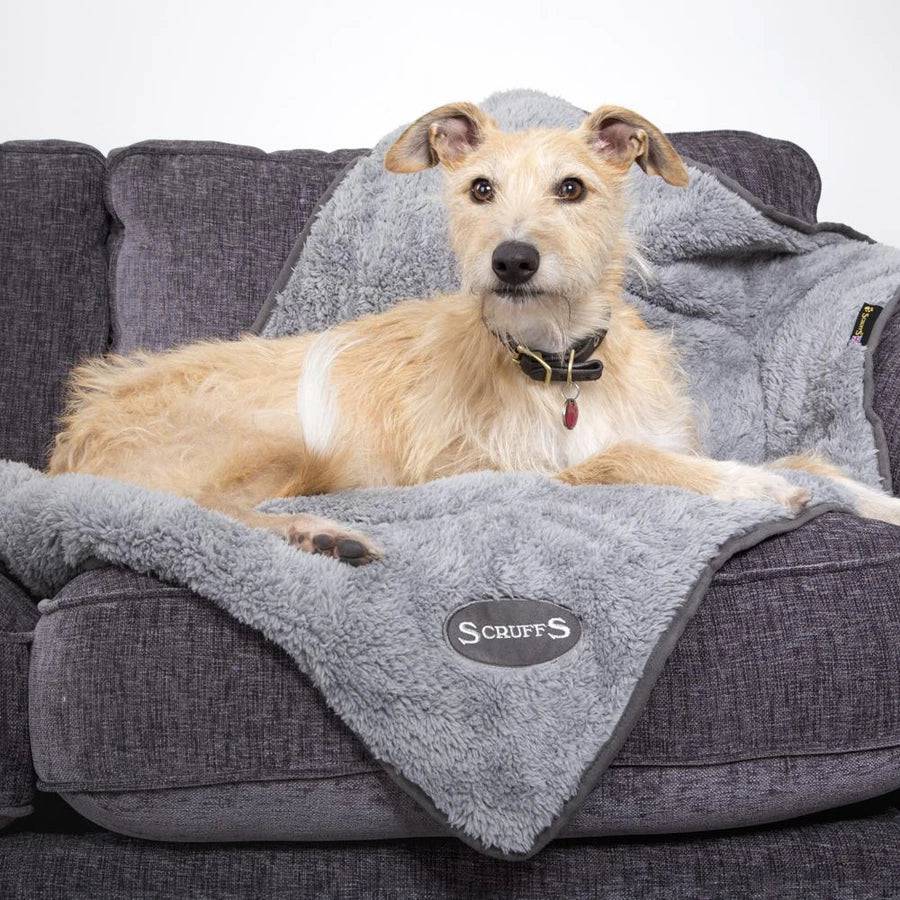 scruffs cosy blanket - grey - cradle coast pet & aquarium