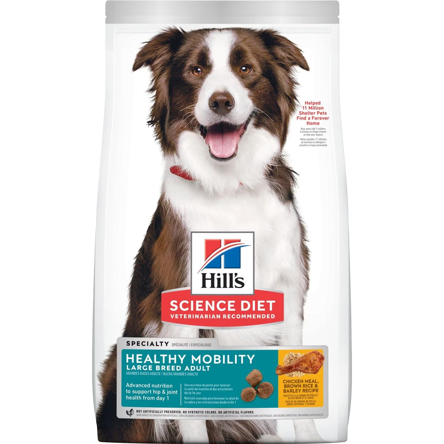 hills science diet adult large breed healthy mobility dry dog food