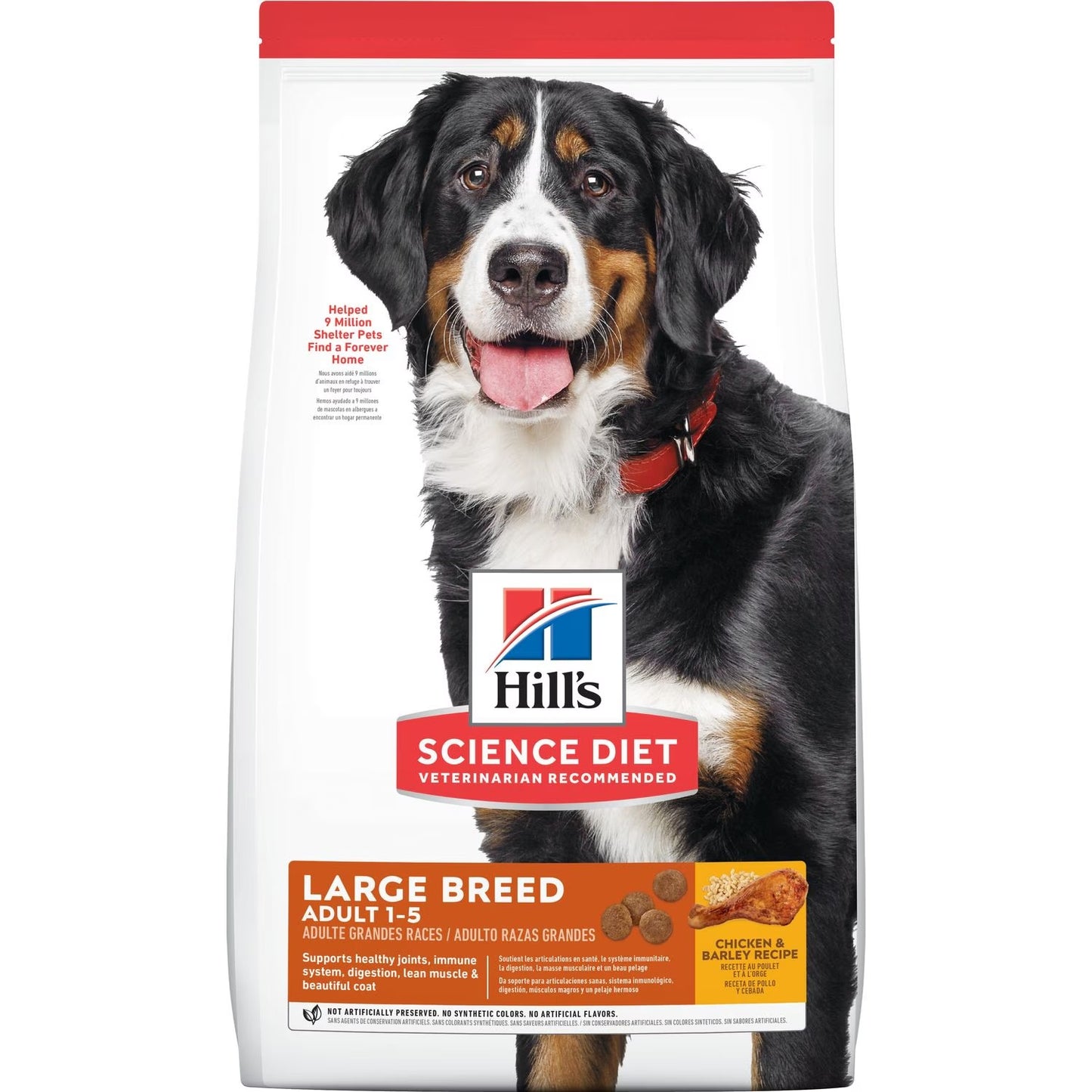 hills science diet adult large breed dry dog food