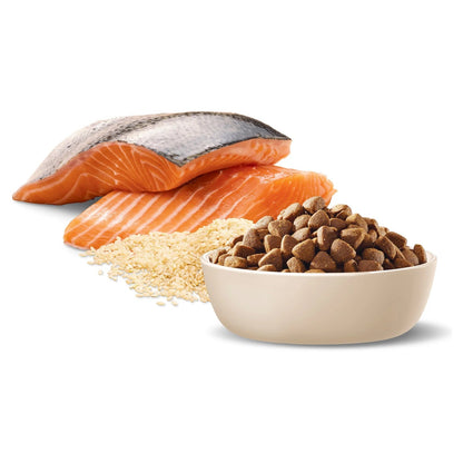 Advance|Sensitive Skin & Digestion Adult Salmon with Rice Dry Dog Food|Cradle Coast Pet & Aquarium