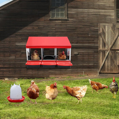 Cradle Coast Pet & Aquarium | VaKa Chicken Hen Coop Hutch 3 Hole Inside Outside Roll Away Lay Egg Nesting Box | Cradle Coast Pet & Aquarium