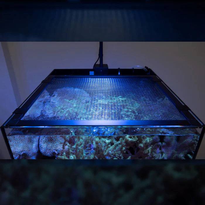 waterbox aio mt mesh lid - cradle coast pet & aquarium