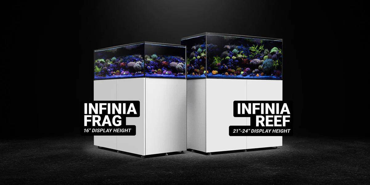 waterbox infinia frag 155.5 set - cradle coast pet & aquarium