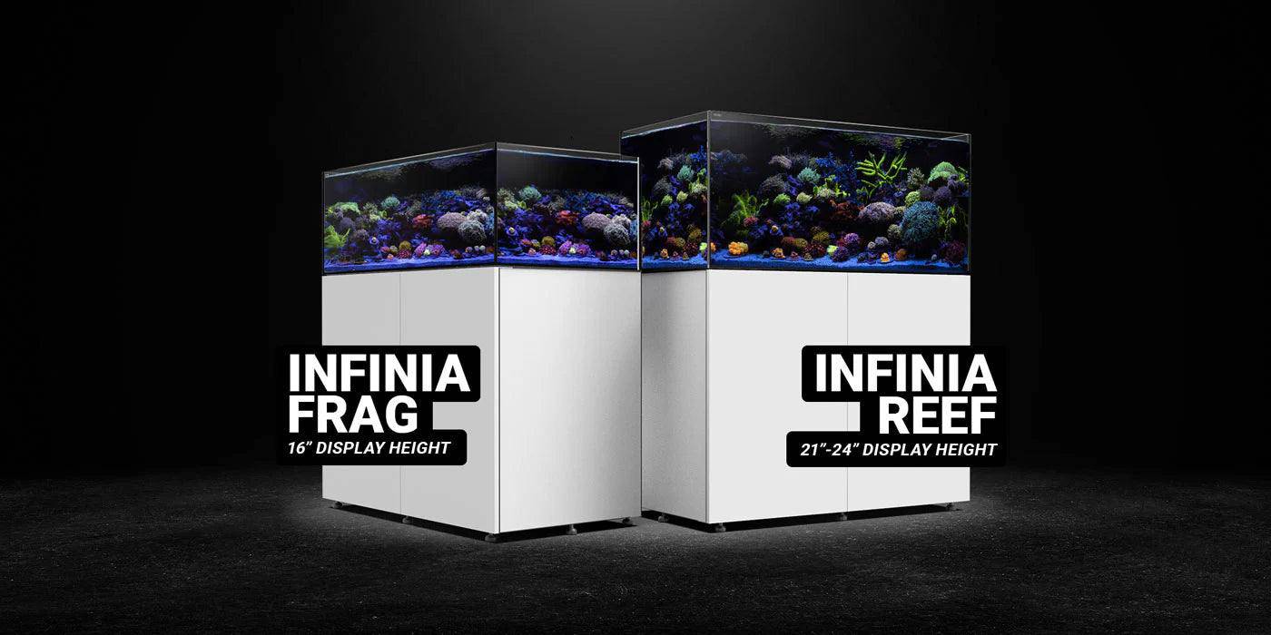 waterbox infinia frag 175.6 set - cradle coast pet & aquarium