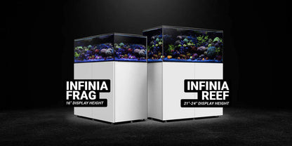 Waterbox Infinia Frag 175.6 Set - Cradle Coast Pet & Aquarium